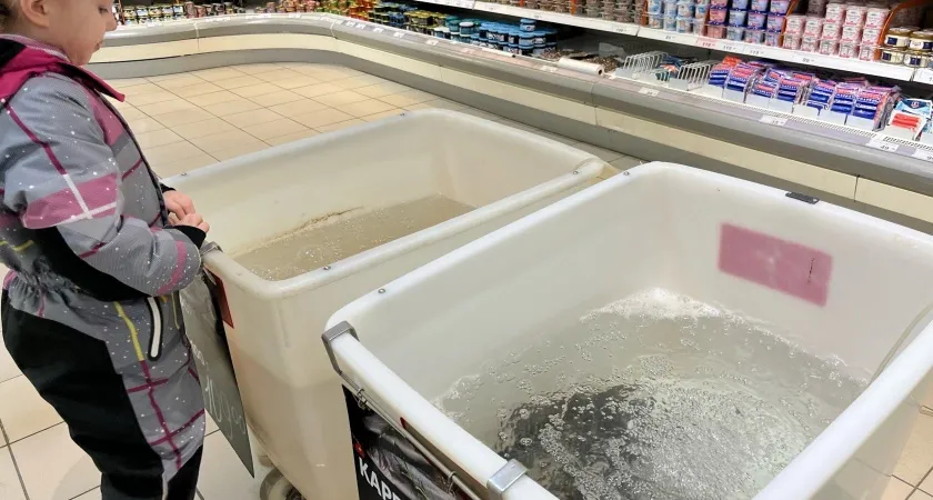 Названа самая полезная для человека рыба - ешьте дважды в неделю, богата селеном и фосфором