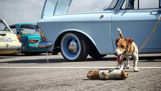 Instagram рязанцев: настоящая классика, абрикосы, грустная пара