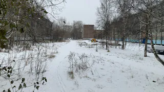 «Декабрь и январь будут безумными». Синоптики сказали, к чему надо готовиться всем Россиянам