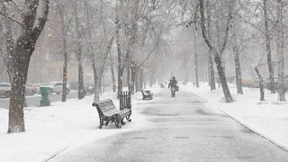 1 марта в Рязанской области ожидается умеренный снег и до -9