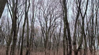 2 января в Нижнекамске будет пасмурно и без осадков