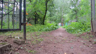 Электронная карта кладбищ: найти место захоронения теперь можно в интернете