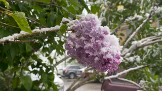 Холодный май и аномальная жара в августе. Синоптики дали новый прогноз на лето 2025 года — будет куда хуже, чем мы ждали