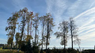 6 октября в Коми установится сухая и умеренно тёплая погода