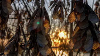 О погоде в Рязани - всю неделю будет пасмурно и снежно