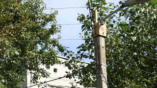 Готовы? На 100%. В Рязани отчитались о готовности электросетевого комплекса