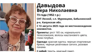 В регионе может находиться пропавшая 73-летняя женщина из Калужской области