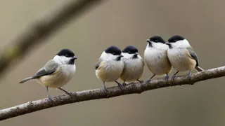 Не давай обещаний в Перезимник — зима ещё не сдалась: что категорически нельзя делать 30 января