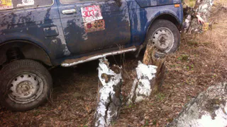 Испытано на себе: гонка по бездорожью "Ветка сакуры"