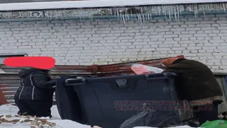 В Брянске пенсионеры собирают просрочку на мусорке