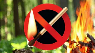 Во Владимирской области вводится особый противопожарный режим