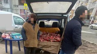 Не понимает: жителя Татарстана в 48 раз оштрафовали за торговлю на зеленой зоне