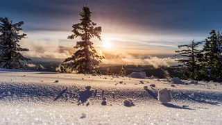 О погоде в Рязани - прогноз на новую рабочую неделю