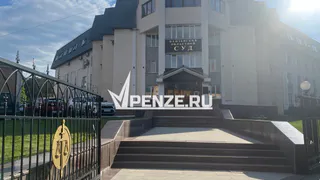 Пензячка организовала в своем доме приют для более 250 бездомных животных