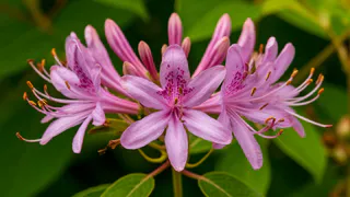 Ученые назвали самую полезную ягоду на лето — не клубника, не малина и в два раза полезнее жимолости