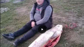 Рязанец на рыбалке "отхватил" 32-х килограммового толстолобика