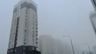 Туман 1 марта ухудшит видимость на дорогах в Рязанской области