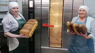 На смену "Агростартапу" Коми запускает новые программы поддержки малых хозяйств