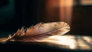 В Вязниках проходит Фатьяновский праздник