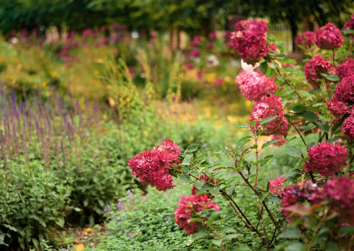 Татарстан направил 562 млн рублей на экологические проекты в 2025 году