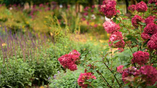 Татарстан направил 562 млн рублей на экологические проекты в 2025 году