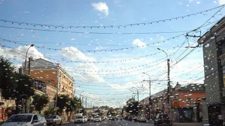 Instagram рязанцев: тюльпан-переросток, собачий барьер, зеркальная гладь