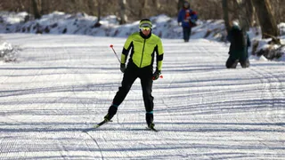 В Брянской области проложат восемь лыжных трасс