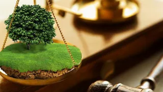 Брянские чиновницы предстанут перед судом за махинации с землёй