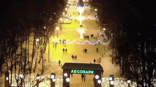 Квадракоптер снял ночной лесопарк с высоты: видео