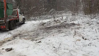 В парке «Дружба» убрали свалку