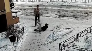 В отношении пары из Владимира, бегавшей по холоду с раздетым грудничком, заведут уголовное дело