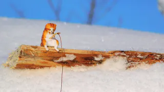 В Челябинской области 23 февраля ожидаются морозы