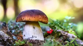 Россияне вышли на "тихую охоту"