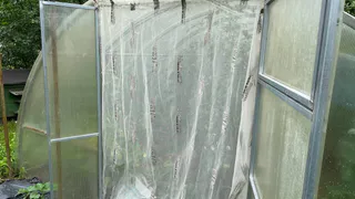 Повесила на вход в теплицу тюль и очень довольна – решила враз многие проблемы