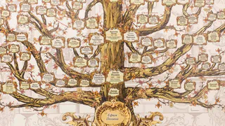 Жители Нижнекамска смогут бесплатно составить родословную 