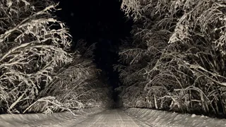 Непогода в Чувашии: сильный ветер и обильные снегопады