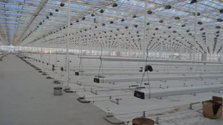 Под Брянском скоро начнет работу крупный тепличный комплекс