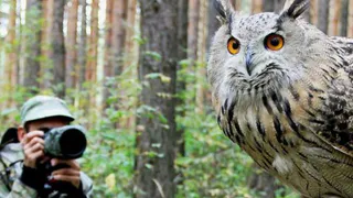 Коми приглашает поучаствовать в конкурсе и запечатлеть дикую природу в объективе