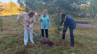 В Усинской ЦРБ появилась «Аллея дружбы» из молодых елей