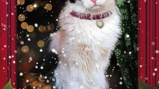 Книга, которую стоит прочитать