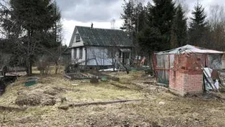 Стало известно, придется ли сносить бани и сараи на даче после 1 сентября