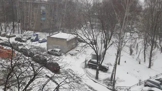 8 февраля в Рязанской области ожидается метель и до -15