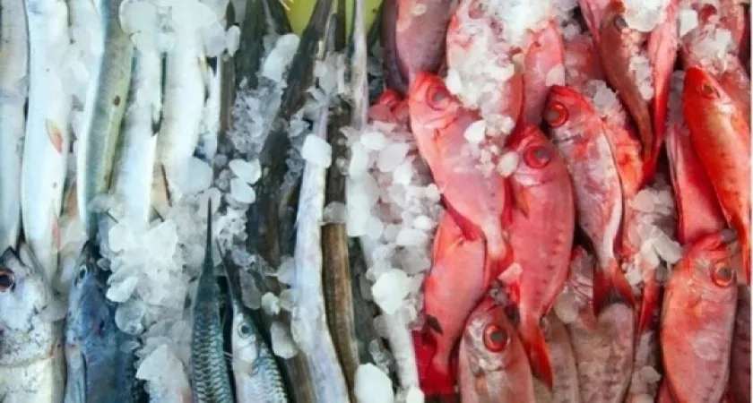 Рыба, которую нельзя подавать ко столу: а мы едим и кормим всю семью