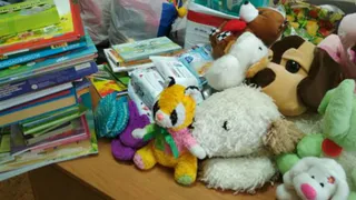 В Брянске собирают книги и игрушки для детей из ДНР и ЛНР