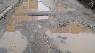 Рязанцы собирают подписи под петицией на имя Владимира Путина