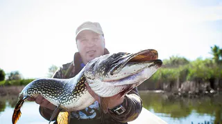 Как поймать крупную щуку: секреты удачной рыбалки по погоде и времени суток
