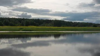 В реке Сыктывдинского района нашли тело человека