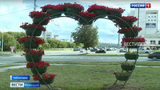 Для цветочной карты России Чебоксарам передали более 16 тысяч кустов роз