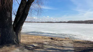 18 марта в Рязанской области ожидается туман и до +7