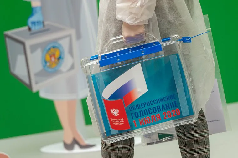 Голосование по поправкам в Конституцию: выезд на дом и градусники на участках
